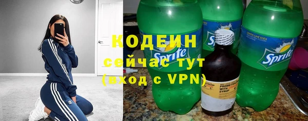 дмт Гусь-Хрустальный