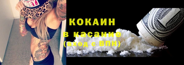дмт Гусь-Хрустальный
