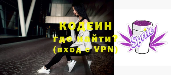 спиды Гусев