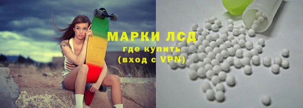 спиды Гусев
