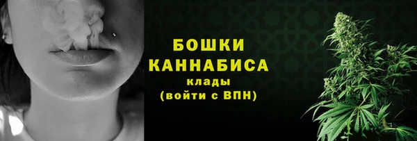 индика Дмитров