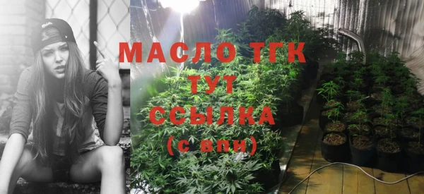 спиды Гусев