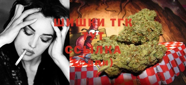 дмт Гусь-Хрустальный