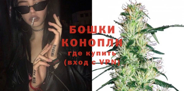 дживик Тында