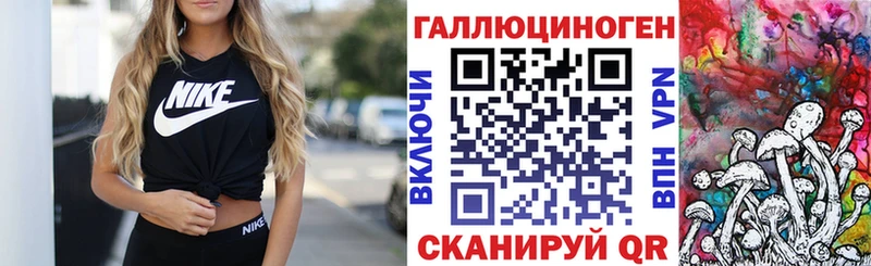 Купить где  Туран  Псилоцибиновые грибы GOLDEN TEACHER 